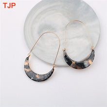 Load image into Gallery viewer, U Shape Resin Earrings