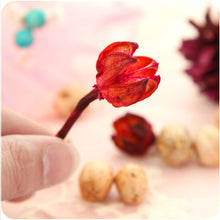 Load image into Gallery viewer, Potpourri Bags