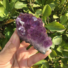 Load image into Gallery viewer, Dream Amethyst Cluster